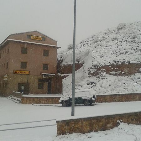 Hostal El Olmo 카마레나 데 라 시에라 외부 사진